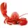 Seafood including jellyfish and lobsters - export Indonesia supplier wholesale